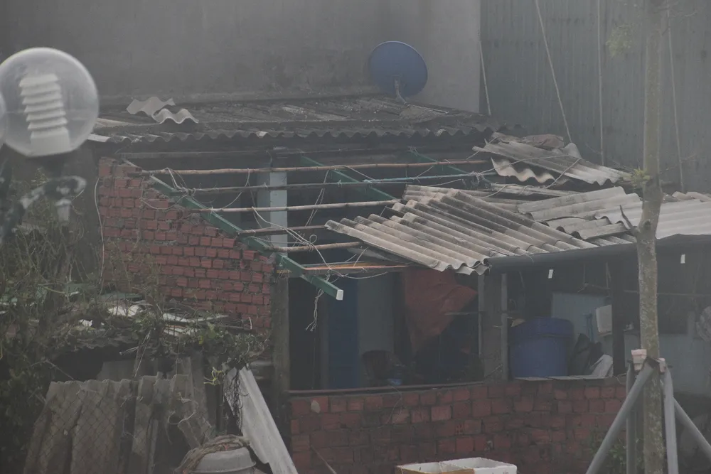 Quảng Ngãi: Cây trồng, hoa màu ngã đổ la liệt ảnh 7