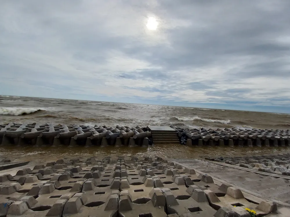 Quảng Ngãi: Cây trồng, hoa màu ngã đổ la liệt ảnh 10