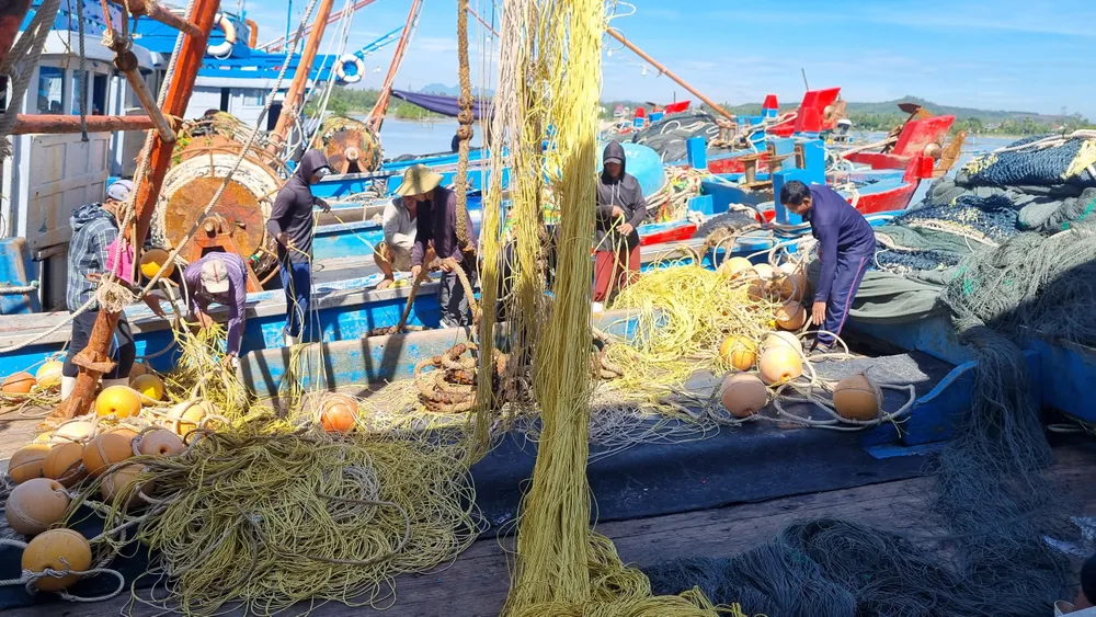 Quảng Ngãi: Ngư dân vươn khơi trở lại sau bão số 4 ảnh 5