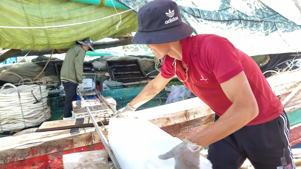 Quảng Ngãi: Ngư dân vươn khơi trở lại sau bão số 4 ảnh 2