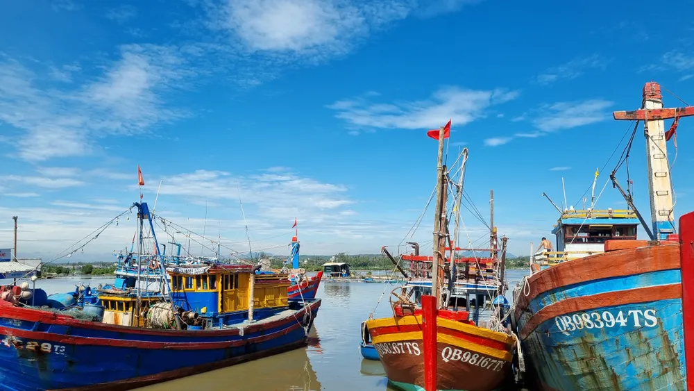 Quảng Ngãi: Ngư dân vươn khơi trở lại sau bão số 4 ảnh 1