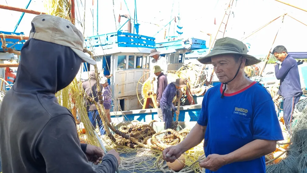 Quảng Ngãi: Ngư dân vươn khơi trở lại sau bão số 4 ảnh 4