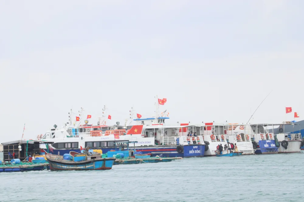 Quảng Ngãi: Khẩn cấp đưa 4 bệnh nhân từ đảo Lý Sơn vào đất liền cấp cứu khi biển động ảnh 3