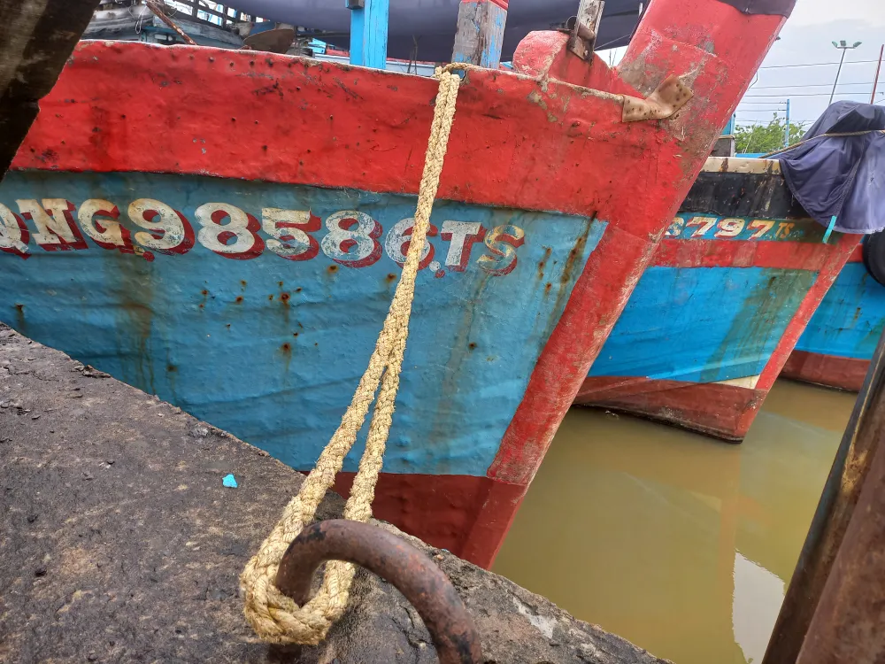 Ngư dân Quảng Ngãi chủ động ứng phó áp thấp nhiệt đới ảnh 4