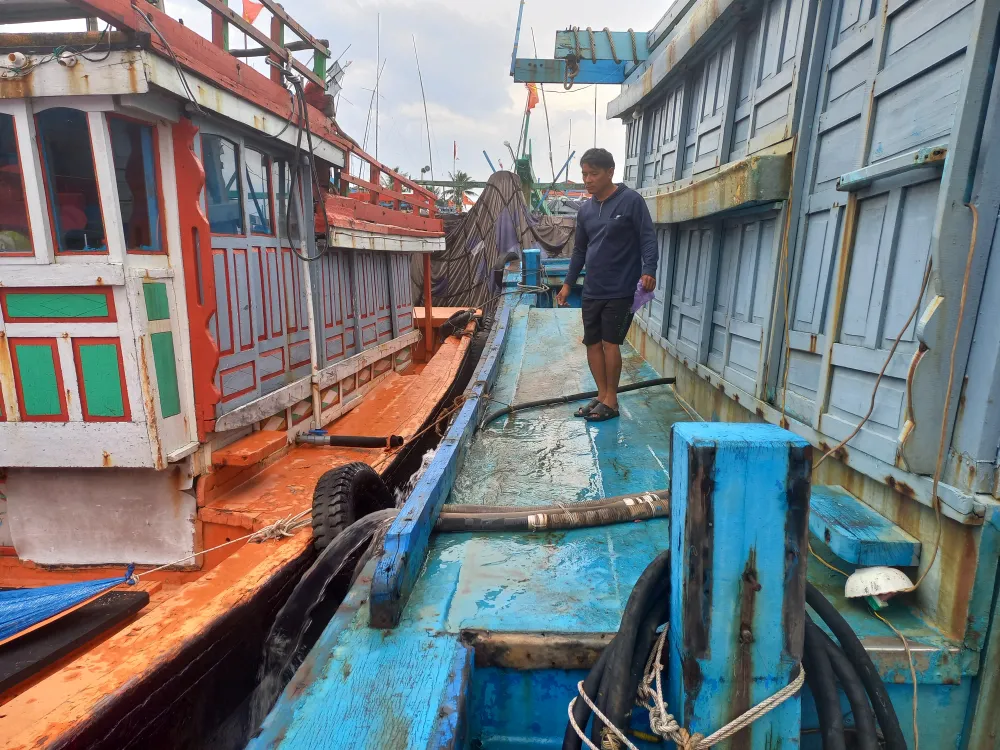 Ngư dân Quảng Ngãi chủ động ứng phó áp thấp nhiệt đới ảnh 2