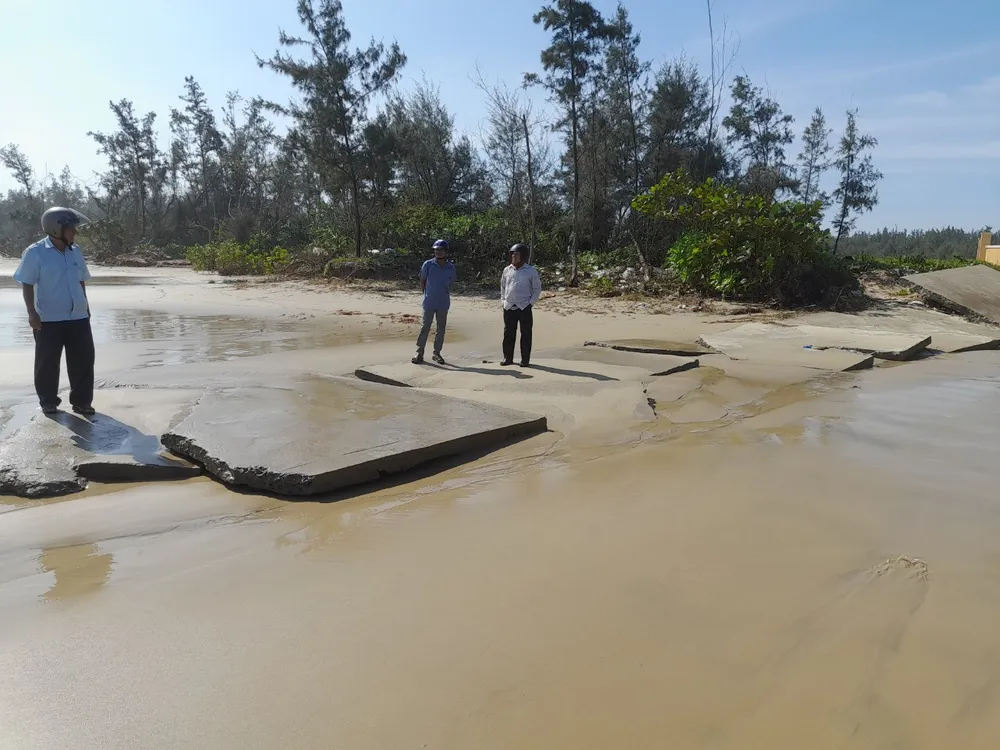 Quảng Ngãi: Triều cường gây sạt lở, uy hiếp nhà dân ven biển ảnh 2