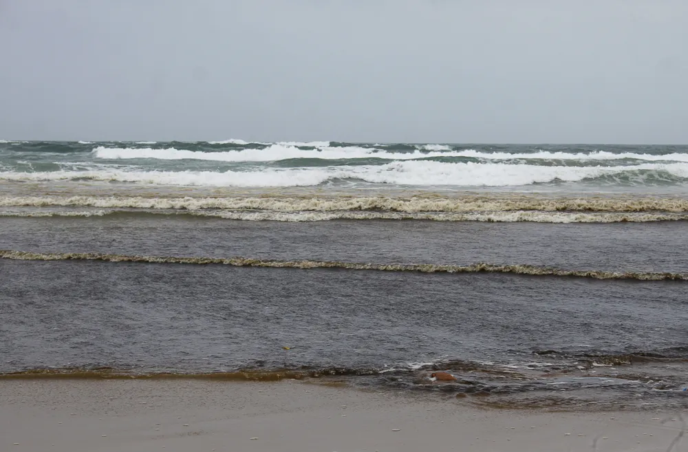 Quảng Ngãi: Vùng biển ven bờ Bình Châu đổi màu nâu đen ảnh 1