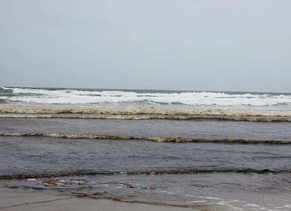 Quảng Ngãi: Vùng biển ven bờ Bình Châu đổi màu nâu đen ảnh 3