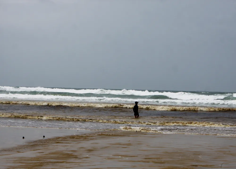 Quảng Ngãi: Vùng biển ven bờ Bình Châu đổi màu nâu đen ảnh 2