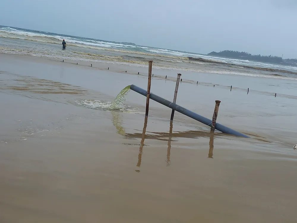 Quảng Ngãi: Vùng biển ven bờ Bình Châu đổi màu nâu đen ảnh 5