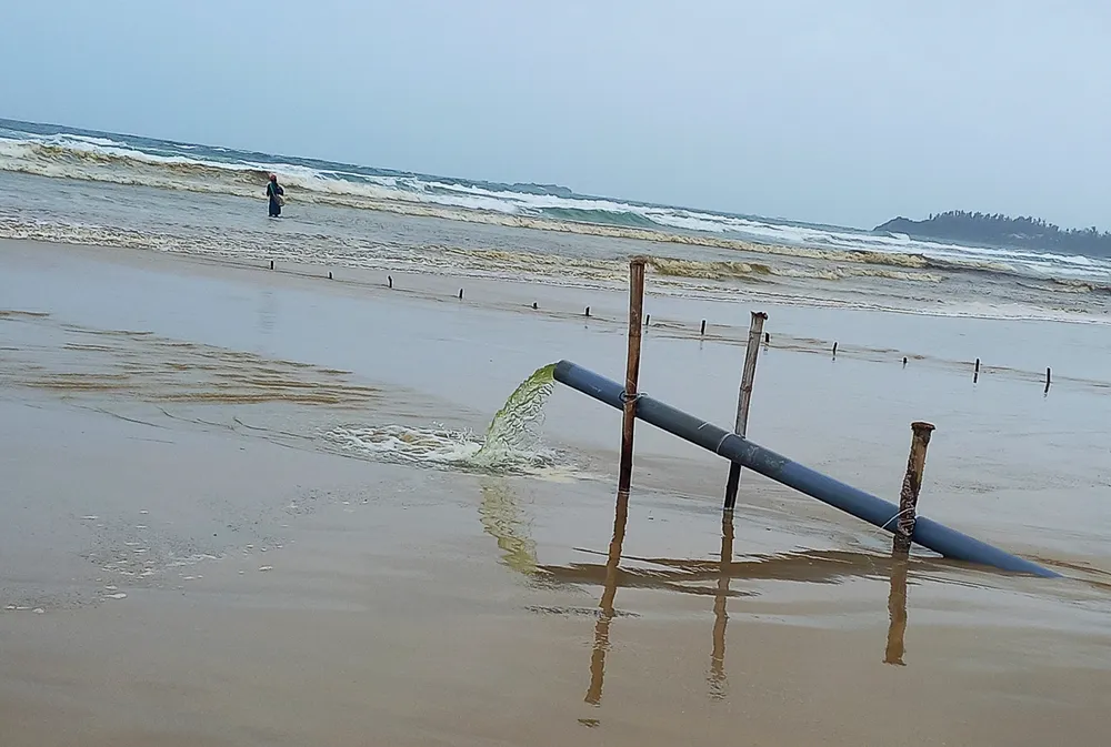 Quảng Ngãi: Vùng biển ven bờ Bình Châu đổi màu nâu đen ảnh 4