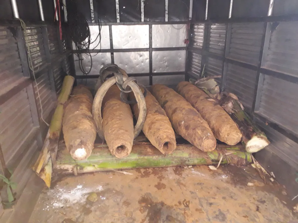 Quảng Ngãi hủy nổ thành công 5 quả bom ảnh 1