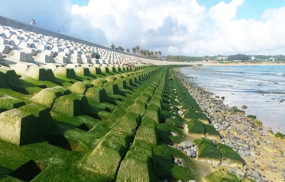 Quảng Ngãi: Người dân vui mừng khi công trình kè biển chống sạt lở đã hoàn thành ảnh 8