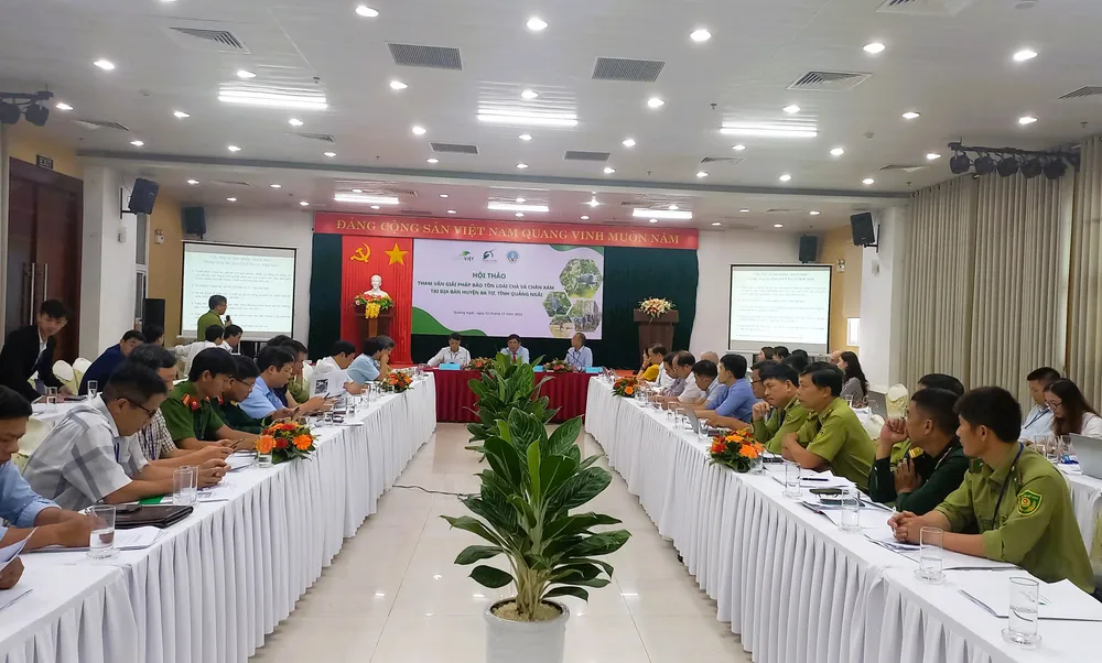 Nhiều giải pháp bảo tồn loài voọc chà vá chân xám tại Quảng Ngãi ảnh 1