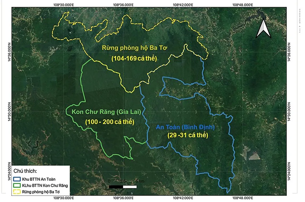 Nhiều giải pháp bảo tồn loài voọc chà vá chân xám tại Quảng Ngãi ảnh 4