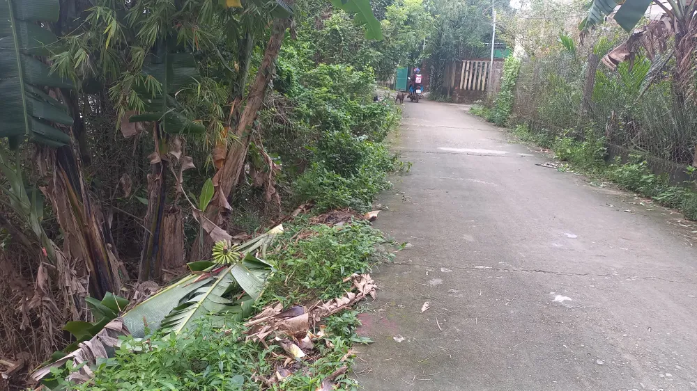 Bờ sông sạt lở nghiêm trọng, dọa “nuốt” 29 hộ dân ở Quảng Ngãi ảnh 5