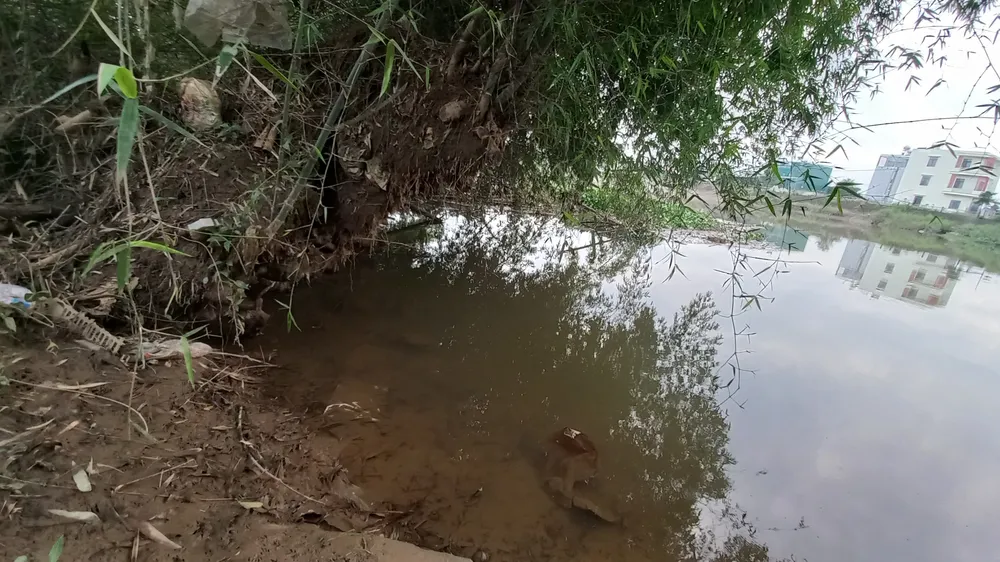 Bờ sông sạt lở nghiêm trọng, dọa “nuốt” 29 hộ dân ở Quảng Ngãi ảnh 1