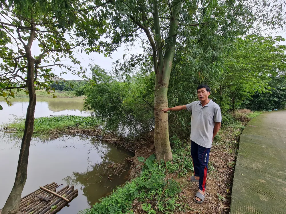 Bờ sông sạt lở nghiêm trọng, dọa “nuốt” 29 hộ dân ở Quảng Ngãi ảnh 2