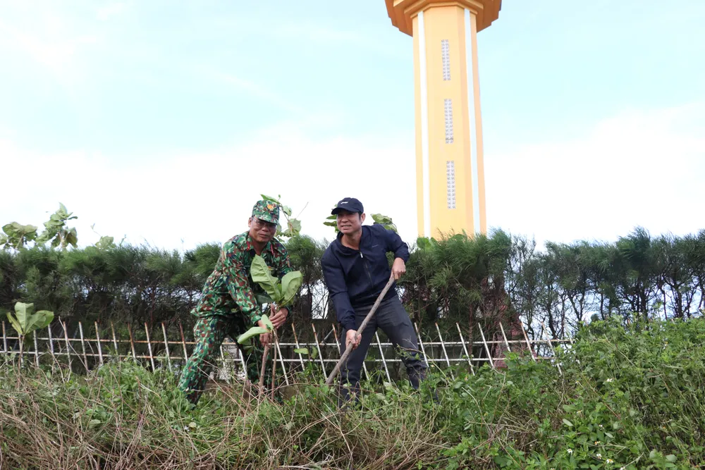 Huyện đảo Lý Sơn hướng tới phát triển xanh, sạch, đẹp, mỗi ngày có thêm 1 cây xanh trên đảo