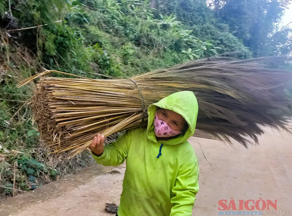 Đót được phơi khô, bó lại để thương lái đến thu mua