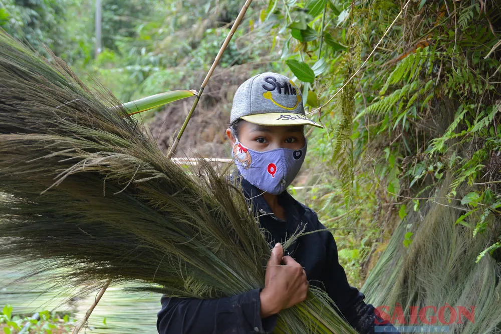 Đót mới hái về có màu xanh tươi, có thể bán trực tiếp cho thương lái hoặc phơi khô để bán được giá hơn. Ảnh: NGUYỄN TRANG