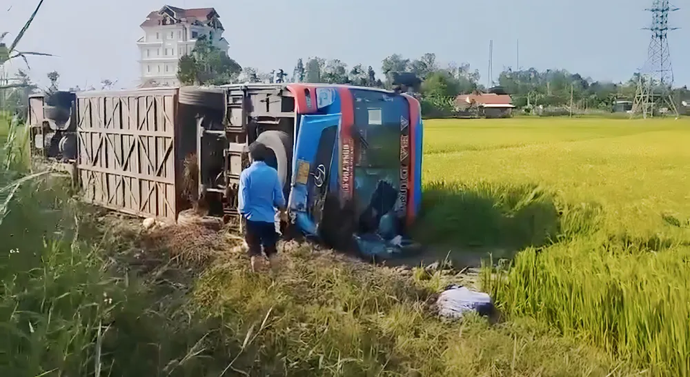 Xe khách lật ngang xuống ruộng Xe khách lật ngang xuống ruộng