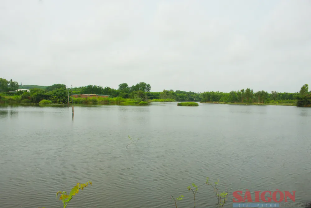 Hồ chứa nước Hòa Hải, phục vụ cho 2 xã Bình Hòa và Bình Hải (huyện Bình Sơn). Ảnh: NGUYỄN TRANG