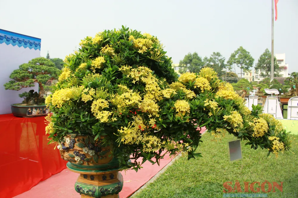 Hoa trang vàng có hình dáng độc đáo do các nghệ nhân tạo tác