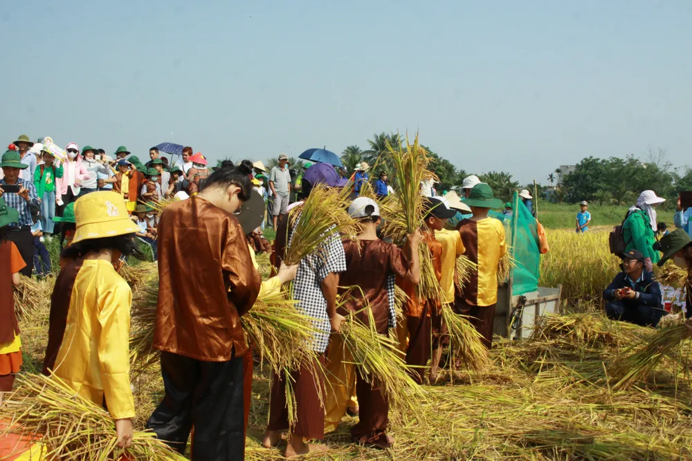 Học sinh trải nghiệm công việc đồng áng Học sinh trải nghiệm công việc đồng áng