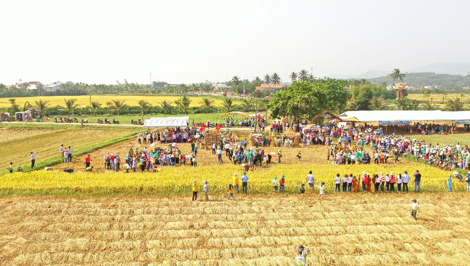 Cánh đồng mùa vàng trên quê hương cố Thủ tướng Phạm Văn Đồng, xã Đức Tân, huyện Mộ Đức, tỉnh Quảng Ngãi Cánh đồng mùa vàng trên quê hương cố Thủ tướng Phạm Văn Đồng, xã Đức Tân, huyện Mộ Đức, tỉnh Quảng Ngãi