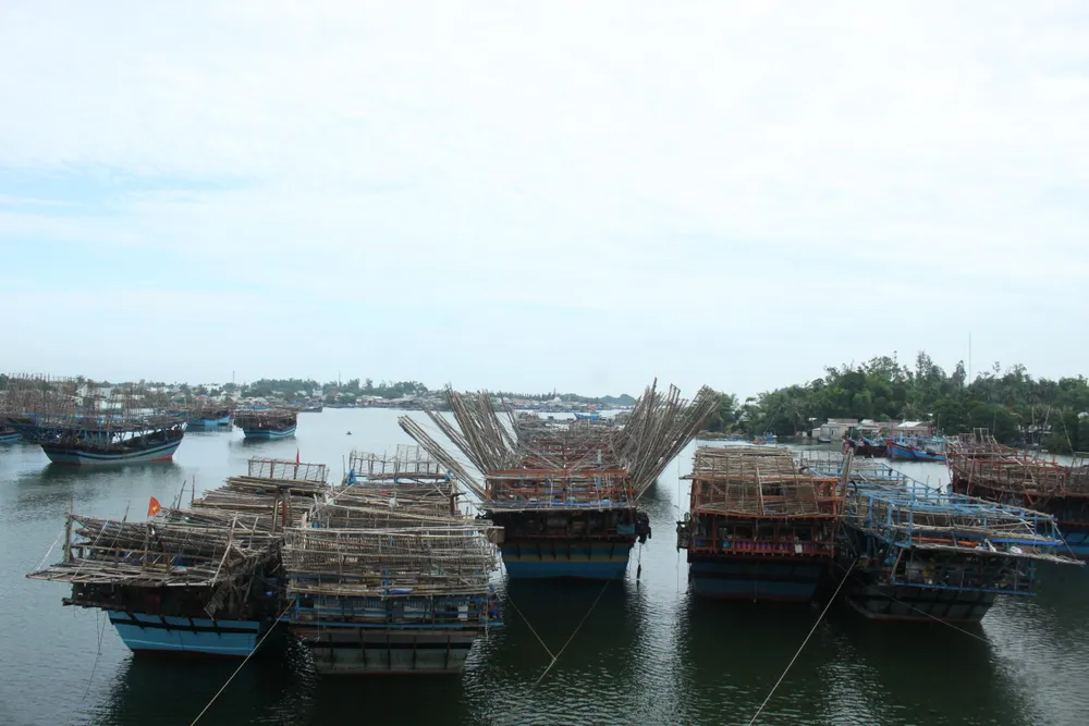 Cửa biển Sa Cần tấp nập tàu thuyền câu mực trở về sau chuyến biển đầu năm. Ảnh: NGUYỄN TRANG