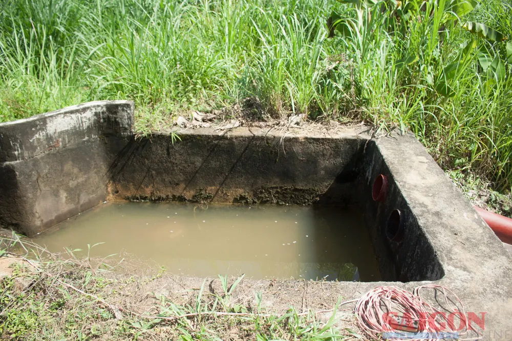 Vùng nước bơm lên từ trạm bơm Tân Hòa không ổn định, thiếu nước. Ảnh: NGUYỄN TRANG