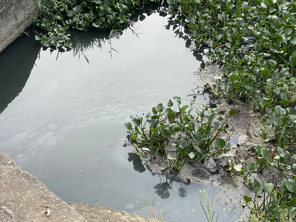 Nước xả thải đen ngòm, ô nhiễm