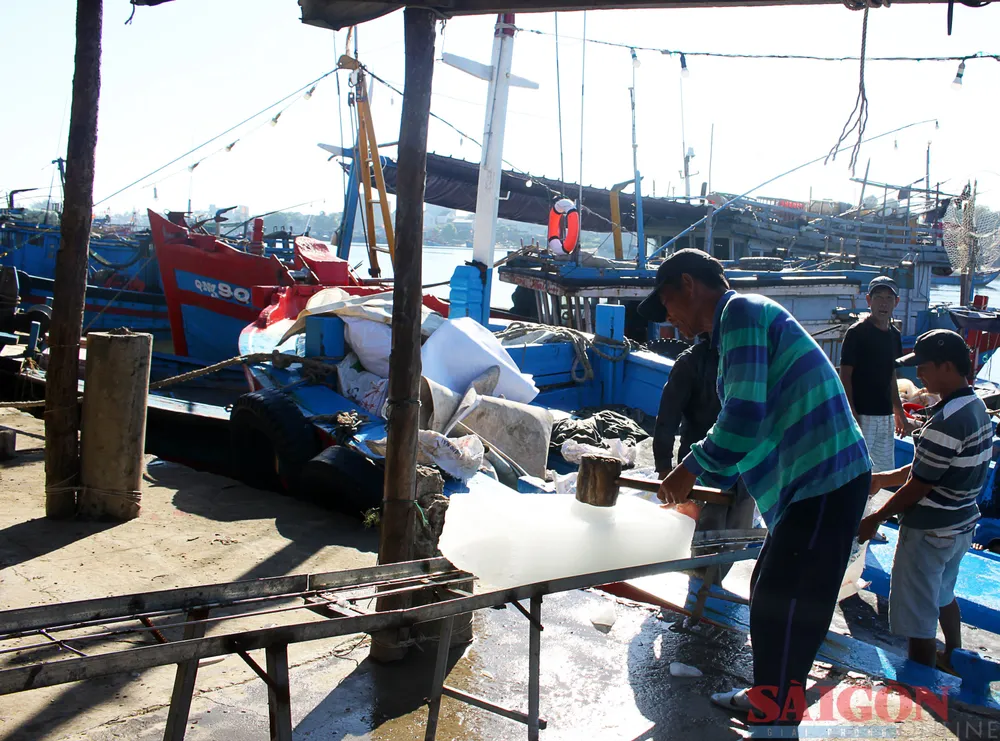 Ngư dân xã Nghĩa Phú lấy đá lên tàu vươn khơi đánh bắt cá. Ảnh: NGUYỄN TRANG