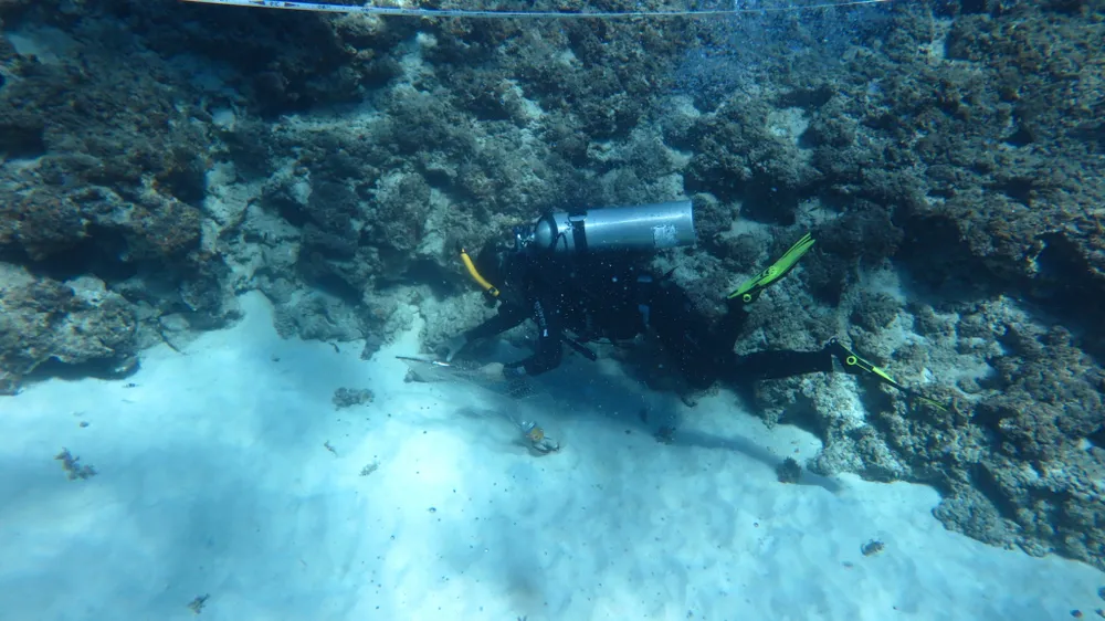 Qua đó, đánh giá mức độ rác thải ngầm trên rạn san hô, tuyên truyền người dân ý thức bảo vệ môi trường biển Qua đó, đánh giá mức độ rác thải ngầm trên rạn san hô, tuyên truyền người dân ý thức bảo vệ môi trường biển