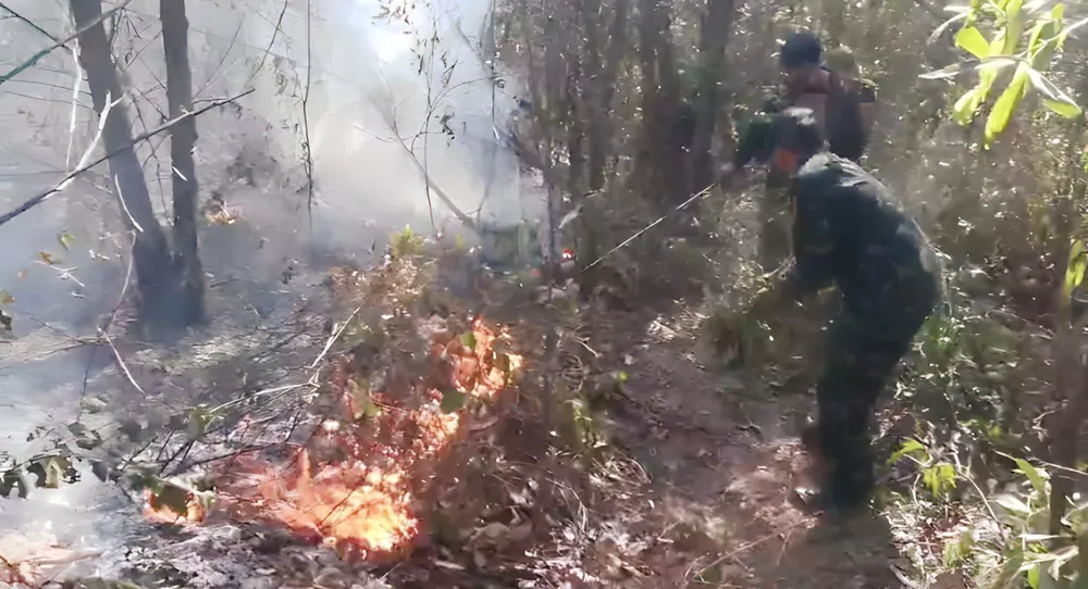 Đám cháy dần dập tắt tại rừng keo giáp ranh xã Bình Long và Bình Chương, huyện Bình Sơn, tỉnh Quảng Ngãi