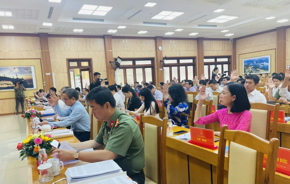 Các đại biểu tán thành nhiều nội dung quan trọng