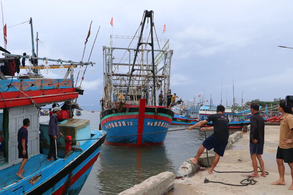Ngư dân neo buộc tàu thuyền