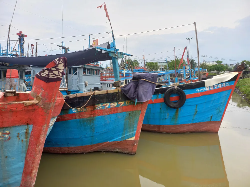 Các tàu cá cần có đầy đủ giấy tờ để xuất bến hành nghề khai thác thủy sản. Ảnh: NGUYỄN TRANG
