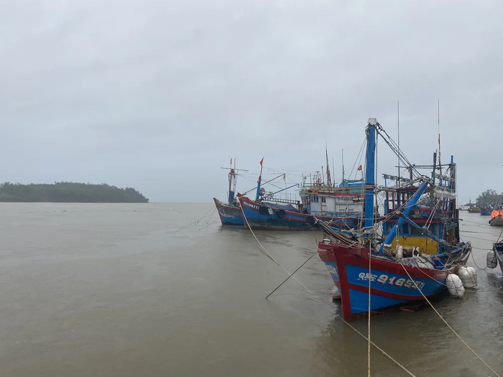 Các ngư dân Quảng Ngãi đưa tàu về bến Các ngư dân Quảng Ngãi đưa tàu về bến