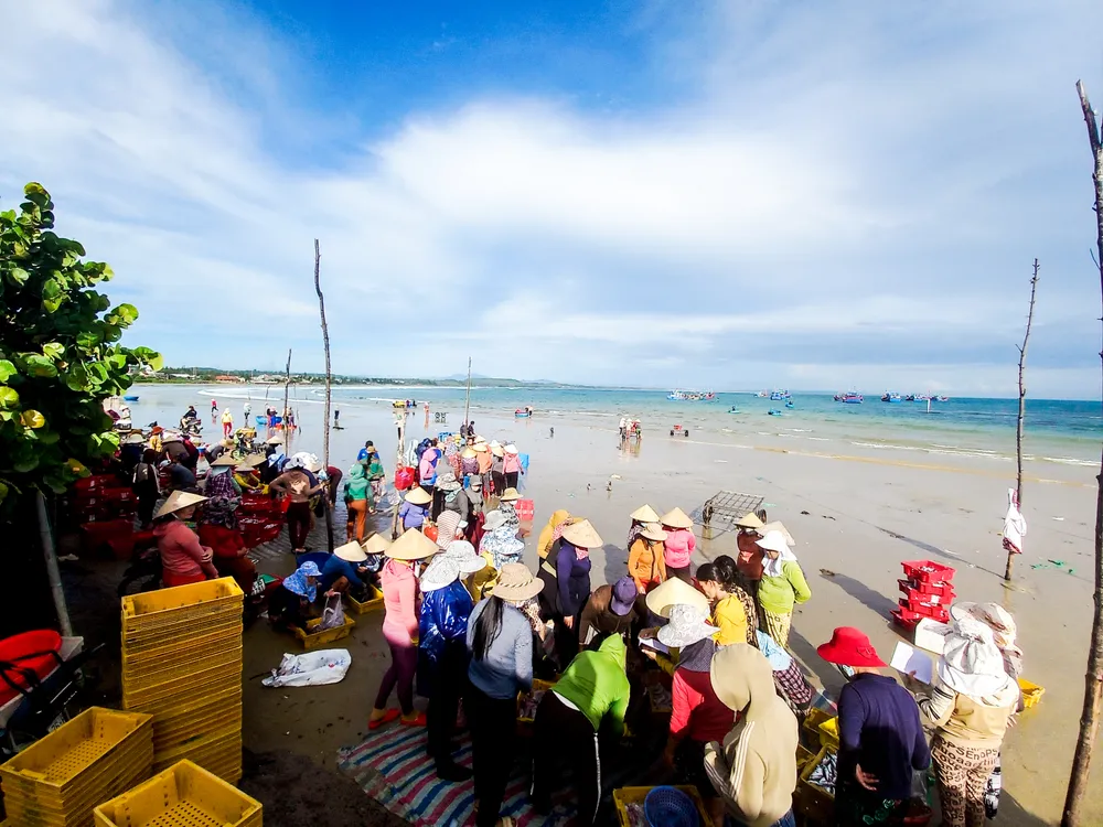 Cảnh mua bán tại thôn Châu Thuận Biển, xã Bình Châu, huyện Bình Sơn, tỉnh Quảng Ngãi. Ảnh: NGUYỄN TRANG