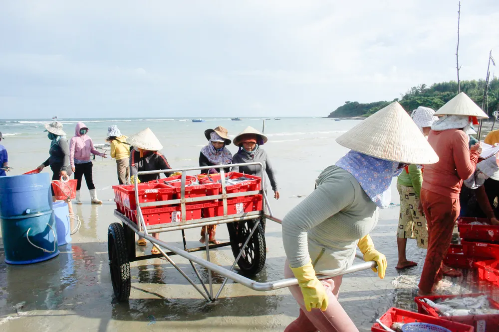 Những phụ nữ làng biển đẩy cá lên bờ. Ảnh: NGUYỄN TRANG