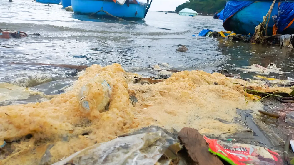 Ô nhiễm rác thải khiến bọt biển chuyển màu vàng sẫm. Ảnh: NGUYỄN TRANG