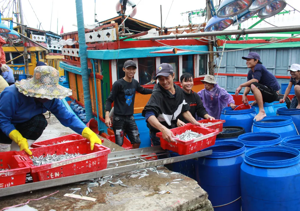 Các tàu cá ra khơi khai thác cần xuất trình đầy đủ giấy tờ. Ảnh: NGUYỄN TRANG Các tàu cá ra khơi khai thác cần xuất trình đầy đủ giấy tờ. Ảnh: NGUYỄN TRANG