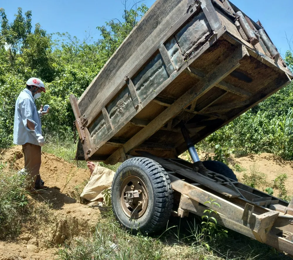 Tiêu hủy heo chết do dịch tả heo châu Phi Tiêu hủy heo chết do dịch tả heo châu Phi