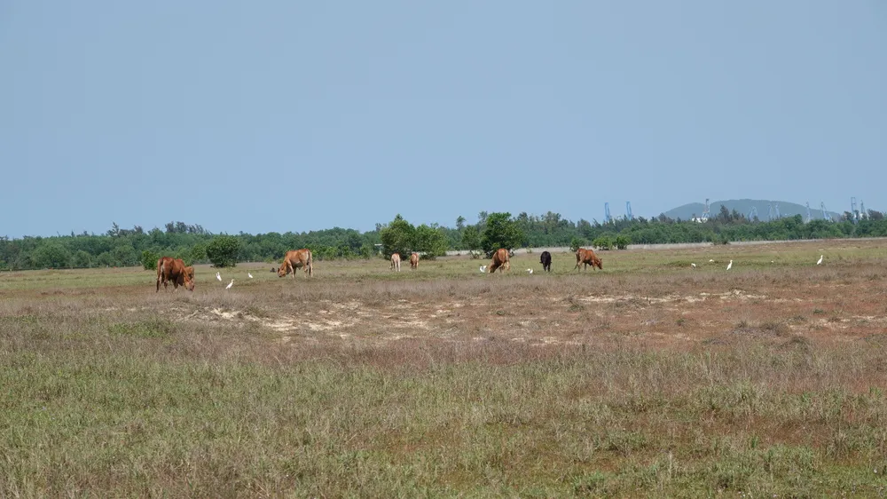 khu kinh tế dung quất