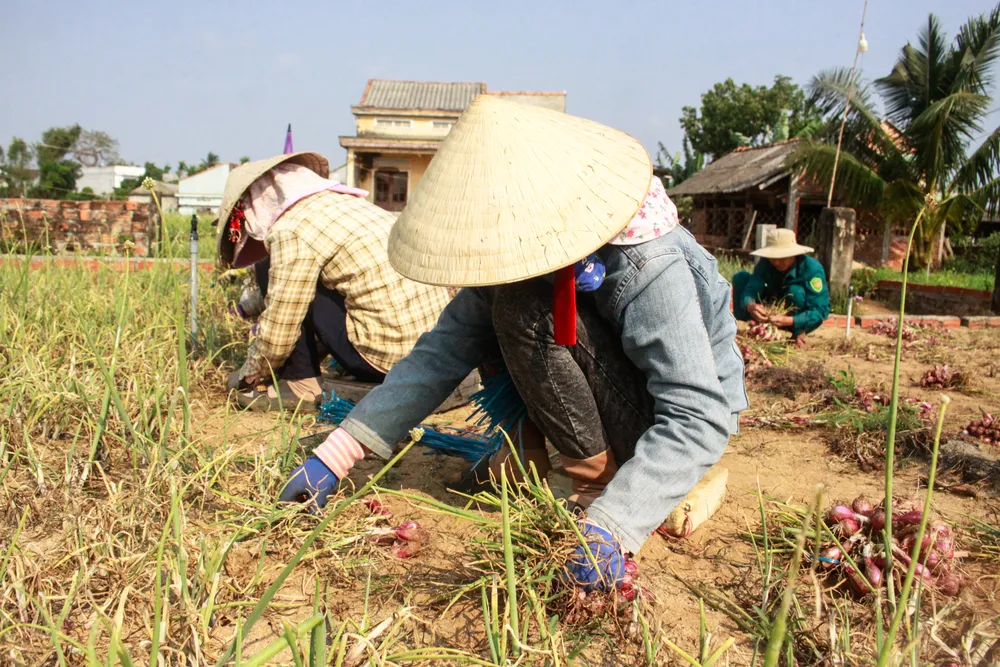 hanh tim 12 (1 of 1).jpg