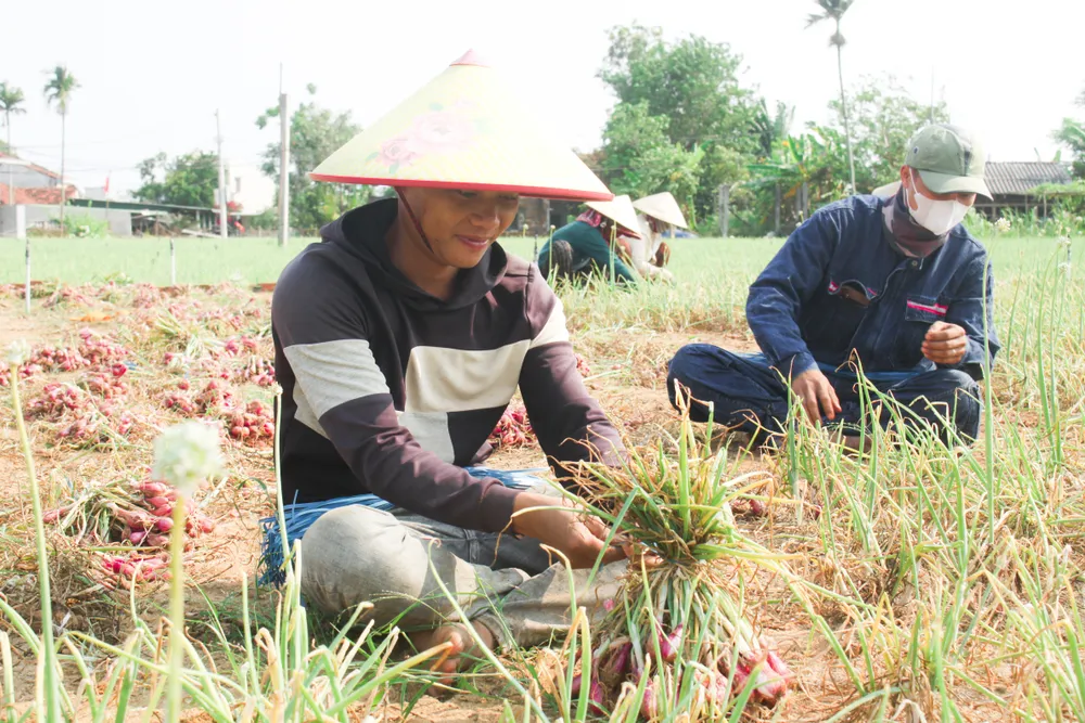 hanh tim 13 (1 of 1).jpg