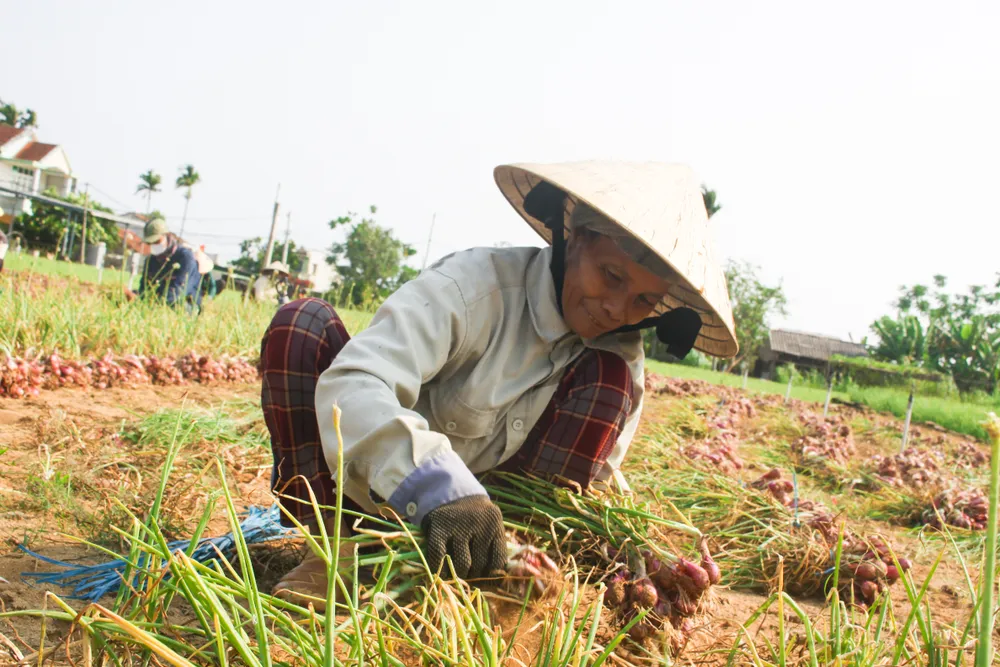 hanh tim 18 (1 of 1).jpg