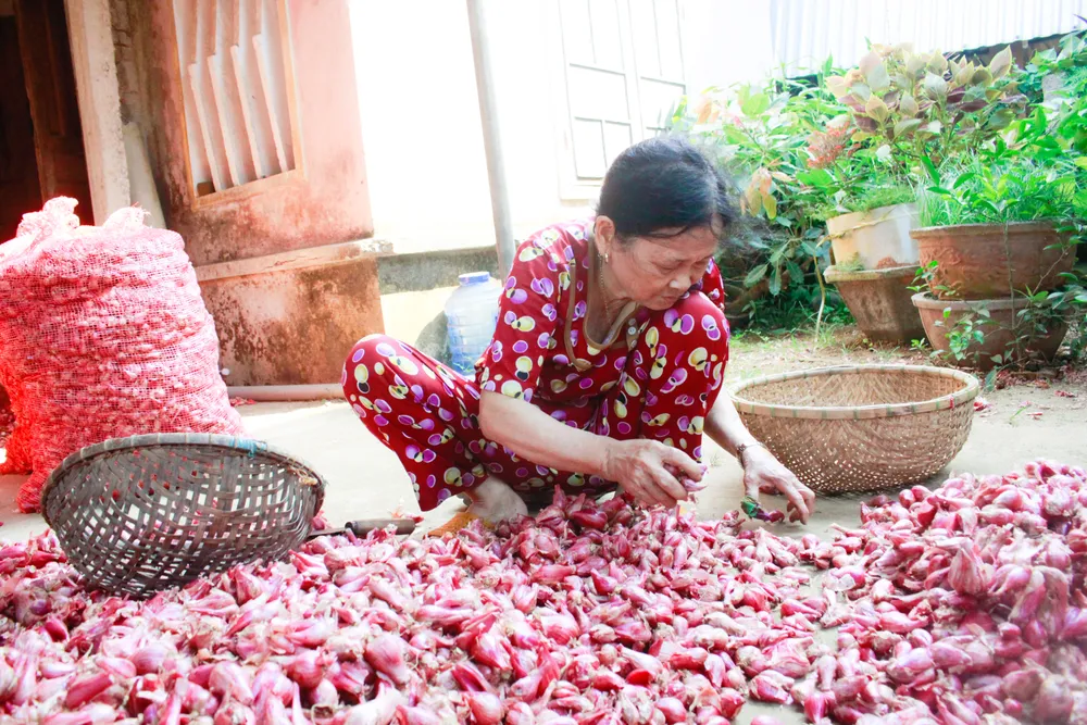 hanh tim 4 (1 of 1).jpg